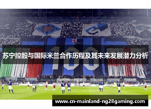 苏宁控股与国际米兰合作历程及其未来发展潜力分析