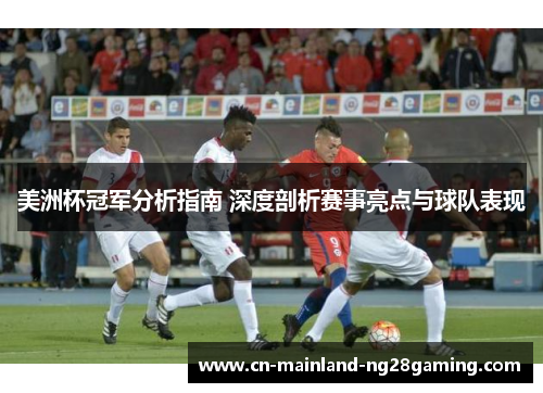 美洲杯冠军分析指南 深度剖析赛事亮点与球队表现