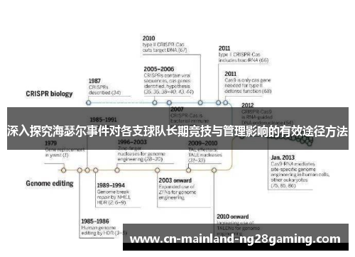 深入探究海瑟尔事件对各支球队长期竞技与管理影响的有效途径方法