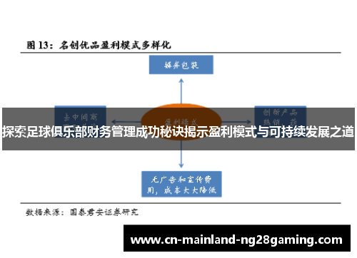 探索足球俱乐部财务管理成功秘诀揭示盈利模式与可持续发展之道 探索足球俱乐部财务管理成功秘诀揭示盈利模式与可持续发展之道