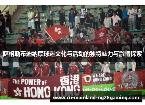 萨格勒布迪纳摩球迷文化与活动的独特魅力与激情探索