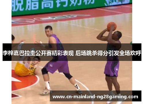 李梓嘉巴拉圭公开赛精彩表现 后场跳杀得分引发全场欢呼