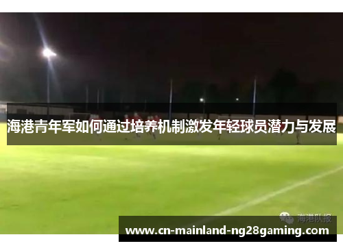 海港青年军如何通过培养机制激发年轻球员潜力与发展