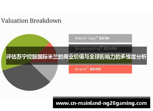 评估苏宁控股国际米兰的商业价值与全球影响力的多维度分析